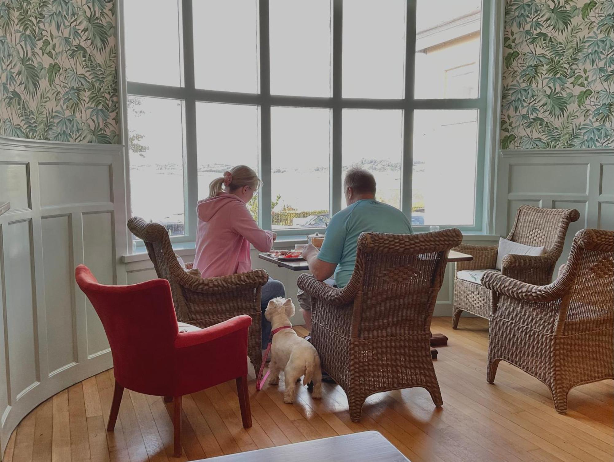 Ashton Court Hotel 埃克斯茅斯 外观 照片